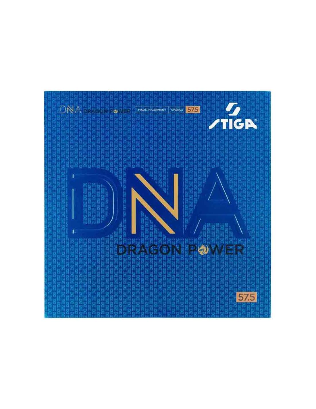 DNA DRAGON POWER 57.5 Stiga